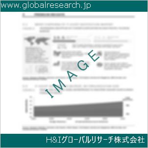 グローバルリサーチ調査資料のイメージ
